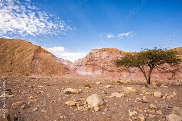 Obraz red rock canyon