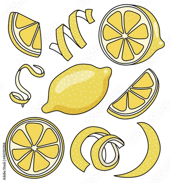 Fototapeta Collection set of yellow lemon and citrus fruits zest twist for menu, farmers market design, cocktail making process illustration, cookbook decoration etc. Doodle cartoon style vector illustration
