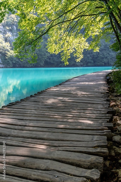 Obraz Plitvicer Seen