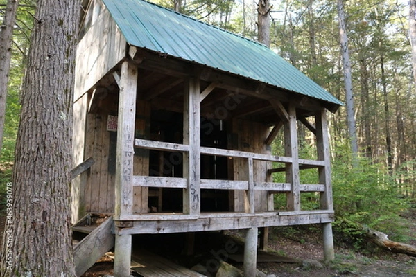 Obraz shelter Adirondack 