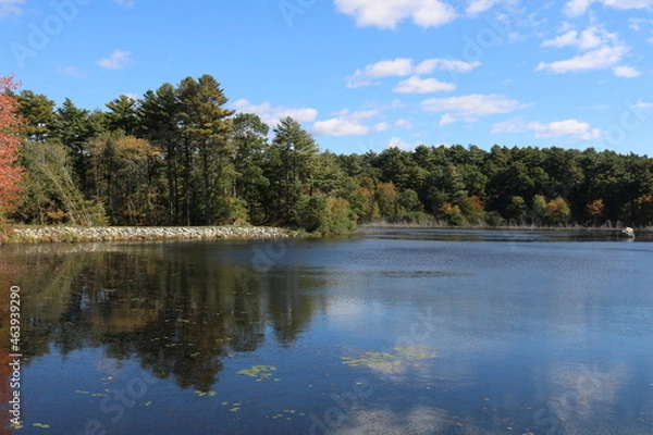Obraz freshwater pond blue sky clouds reflection