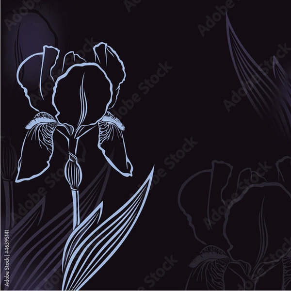 Obraz Card with iris