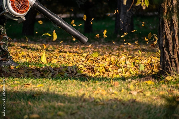 Fototapeta Blower for blowing leaves off the paths. Garden tools in autumn time
