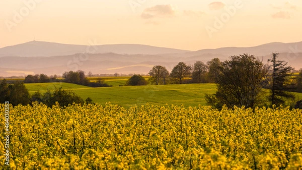 Obraz sunset over the field and mountains