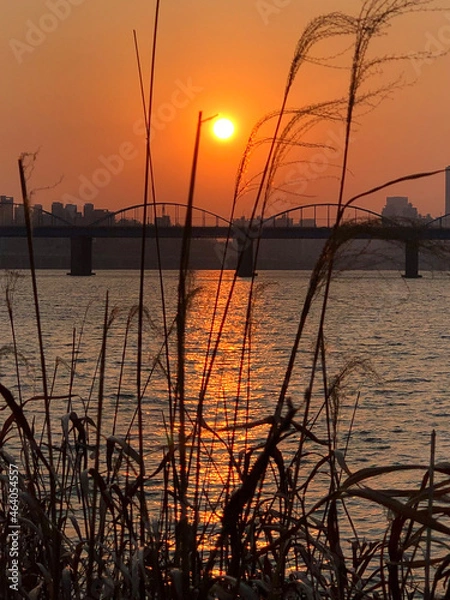 Obraz sunset on the river