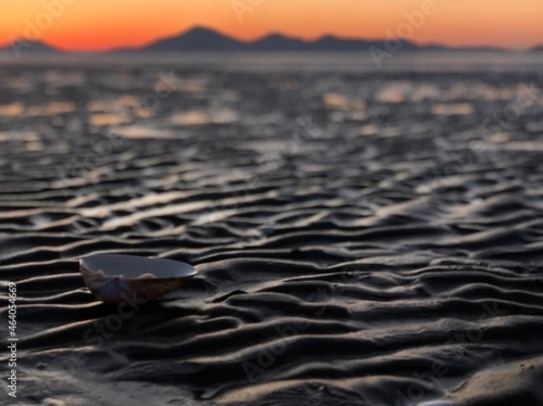 Obraz tracks in the sand