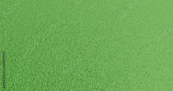 Obraz green texture background