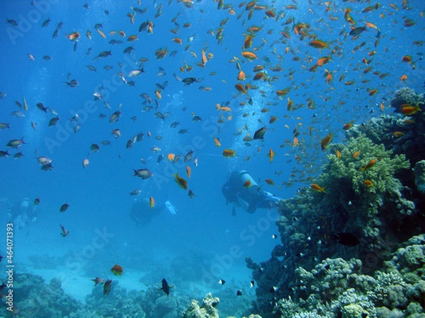 Fototapeta underwater