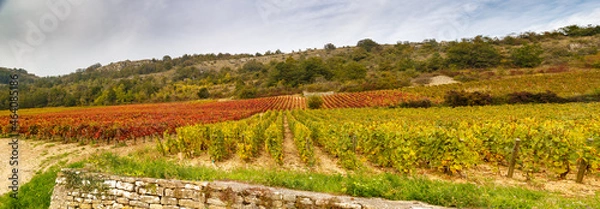 Obraz Santenay le Haut