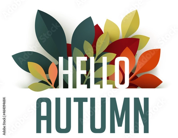 Fototapeta Hello Autumn header with colorful leaves on white background. Seasonal banner in trendy paper cut style. Vector illustration for business presentation and web marketing