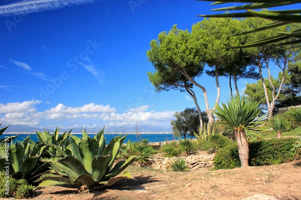 Fototapeta Südküste Mallorca