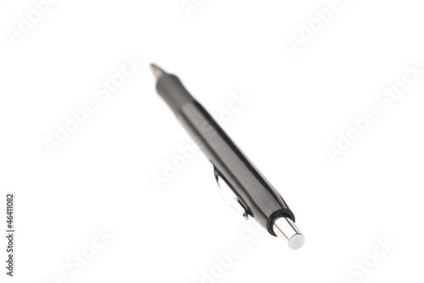 Obraz penna nera