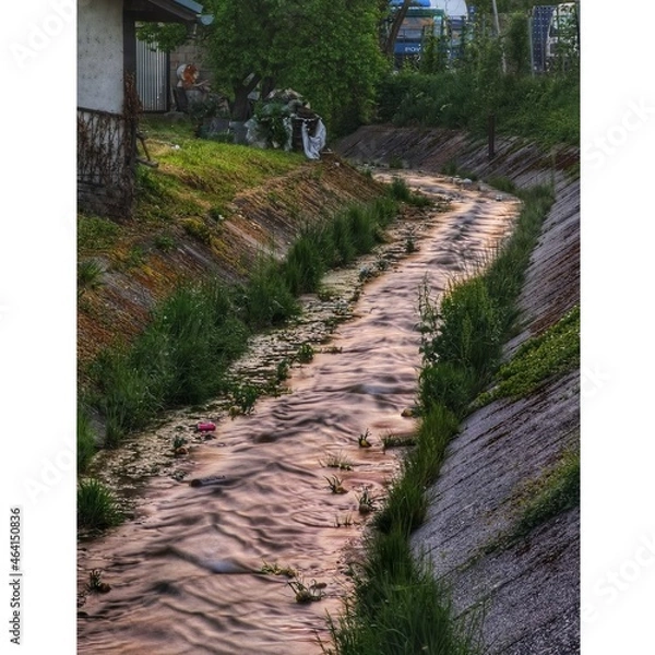 Obraz path in the countryside