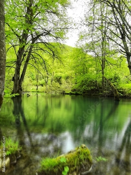 Obraz river in the forest