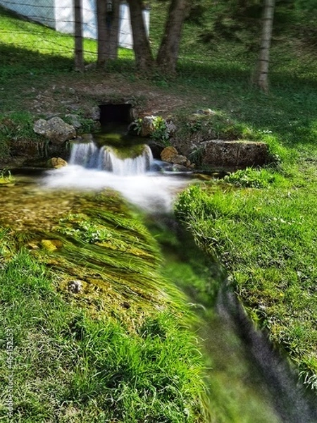 Obraz waterfall in the forest