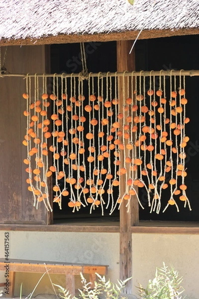 Fototapeta 秋の干し柿　タテ