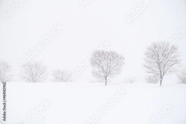 Obraz 北陸金沢の大乗寺丘陵公園、吹雪の雪原