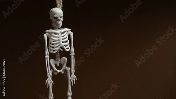 Fototapeta artificial human skeleton , skeleton figurine on a rope , halloween concept