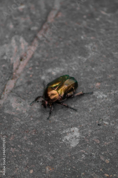 Obraz Pablo Pérez López