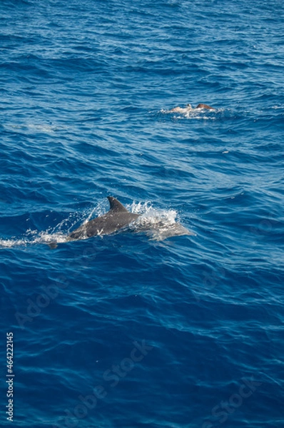 Obraz Pablo Pérez López