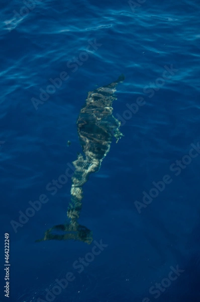 Obraz Pablo Pérez López