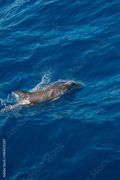 Obraz Pablo Pérez López