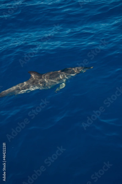 Obraz Pablo Pérez López