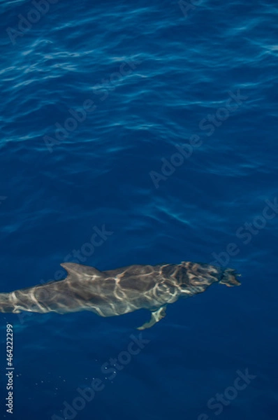 Obraz Pablo Pérez López