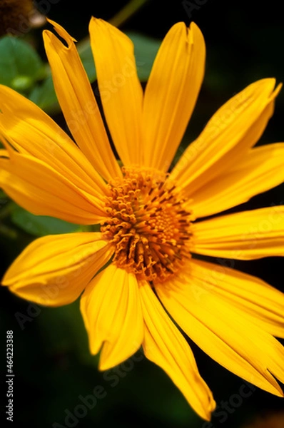 Obraz Pablo Pérez López