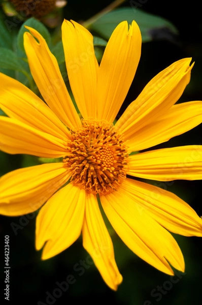 Obraz Pablo Pérez López