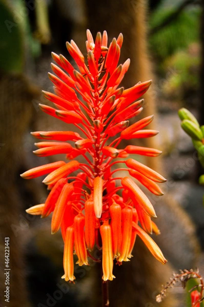 Obraz Pablo Pérez López