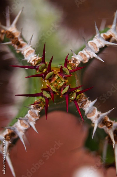 Obraz Pablo Pérez López