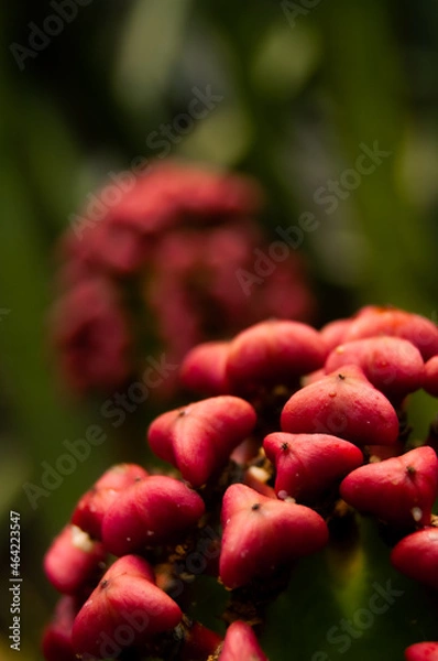 Obraz Pablo Pérez López