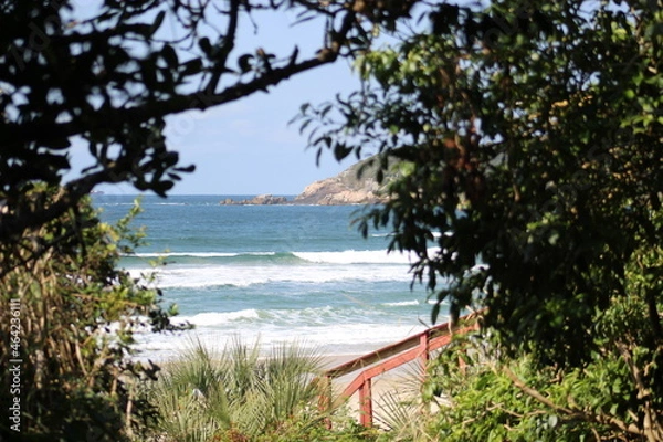 Obraz beach with trees