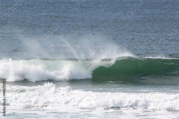 Fototapeta wave on the beach