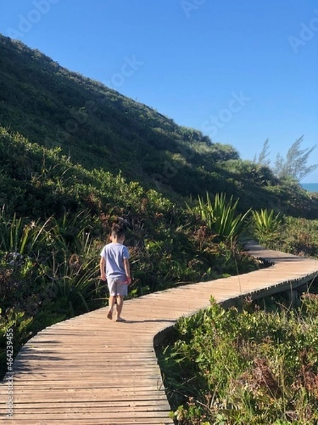 Obraz walking on the beach