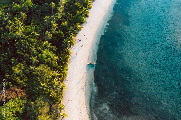 Obraz Top down view of tropical landscape
