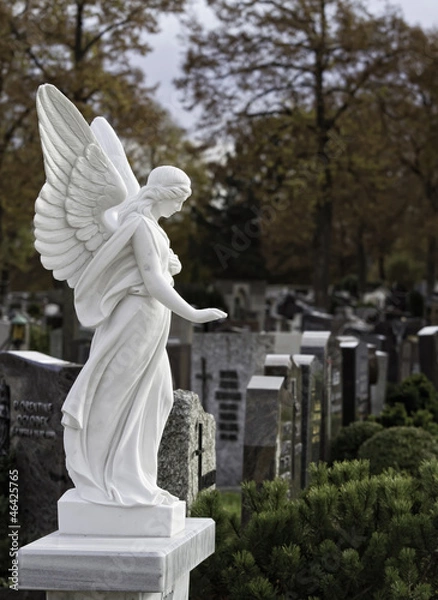 Obraz Anioł z Fluegel