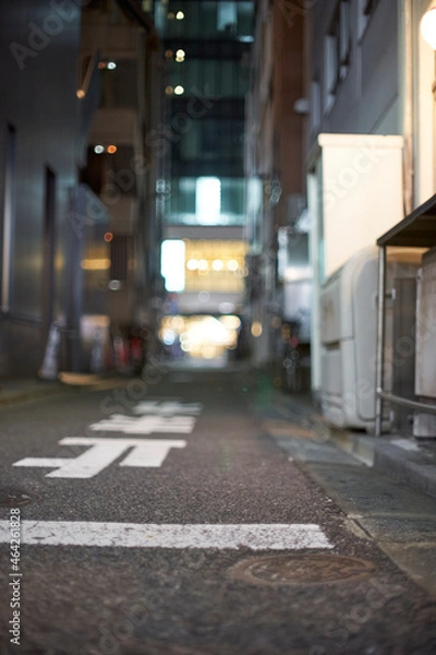Obraz 路地・道・舗装道路・都会・アップ・日本