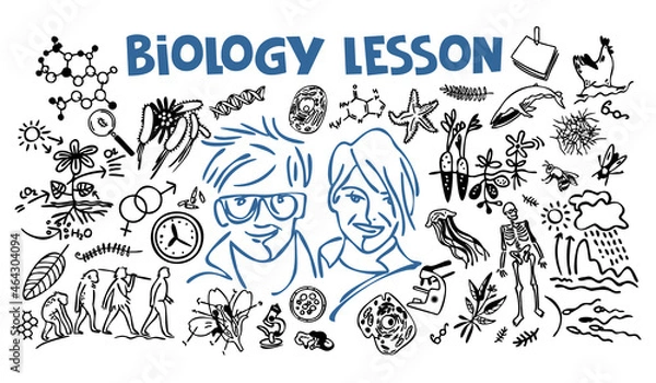 Fototapeta Biology lesson. A set of symbols for a biology lesson. Drawing lines on a white background. The concept of training, education.