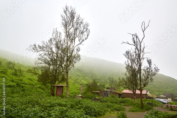 Obraz Lomas de Lachay