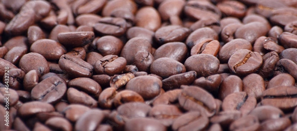 Fototapeta Banner mit Kaffeebohnen