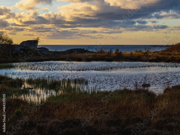 Obraz sunset over the ocean