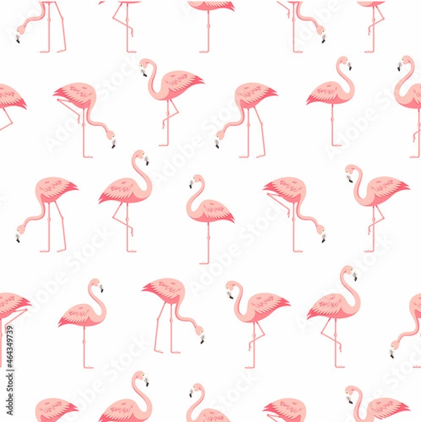 Fototapeta Seamless flamingo pattern on white background
