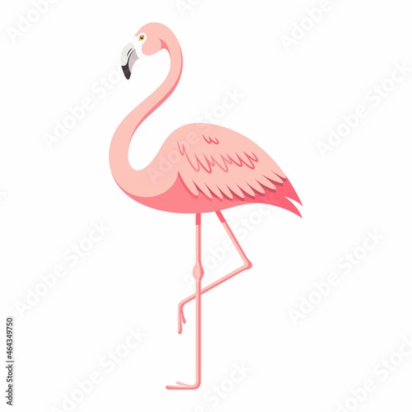Obraz Flamingo