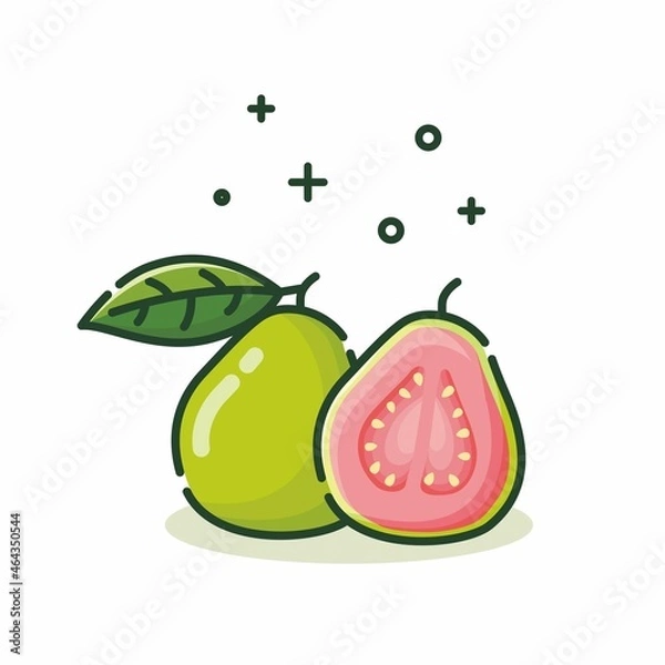 Fototapeta Illustration vector graphic of guava. Guava minimalist style isolated on a white background. The illustration is Suitable for Web Landing Page, Banner, flyers, stickers, Card, etc.
