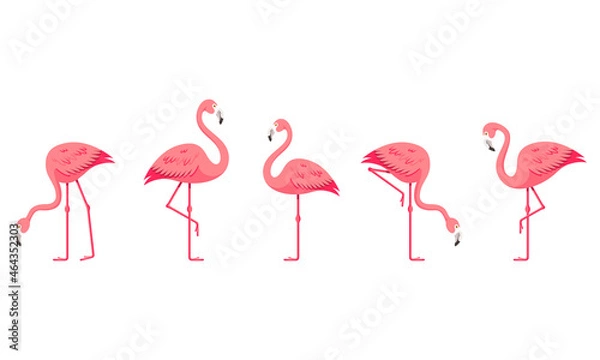 Fototapeta Flamingo set