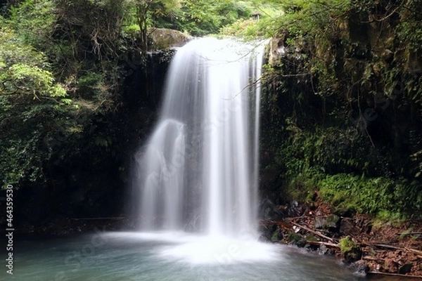 Fototapeta 鮎帰りの滝
