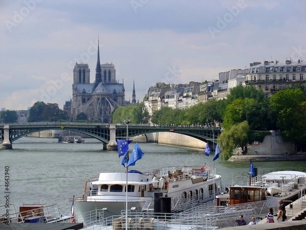 Obraz Notre Dame from distance, Paris