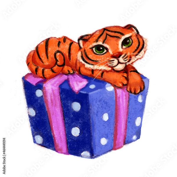 Obraz Cute little tiger lying on the present